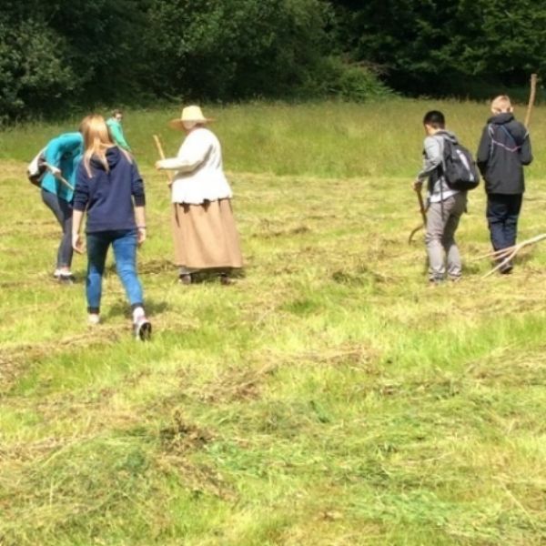 BullaceHill - 43